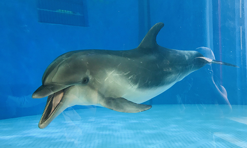 容大合眾 容大合眾